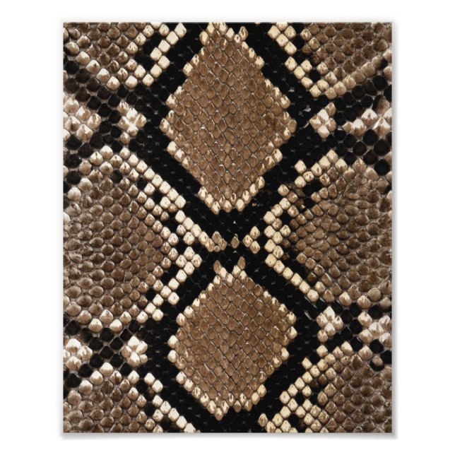 Diamond Back Rattlessnake Skin Fotodruck (Vorne)