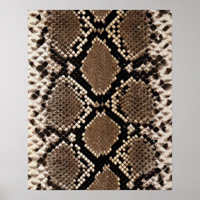 Diamond Back Rattlessnake Skin Poster (Vorne)