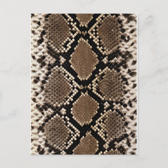 Diamond Back Rattlessnake Skin Postkarte (Vorderseite)