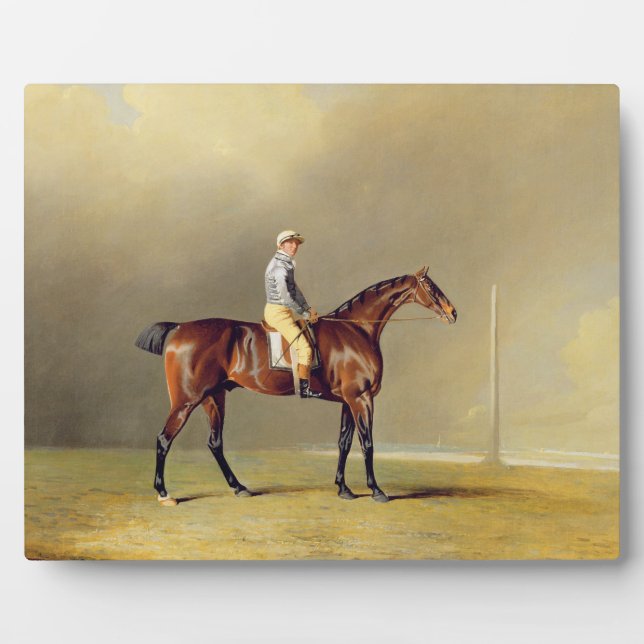 Diamond, mit Dennis Fitzpatrick Up, 1799 (Öl auf Fotoplatte (Vorderseite)