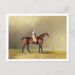 Diamond, mit Dennis Fitzpatrick Up, 1799 (Öl auf Postkarte