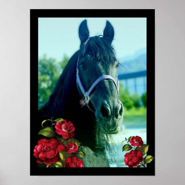 DIAMOND-Portrait - Poster (Vorne)