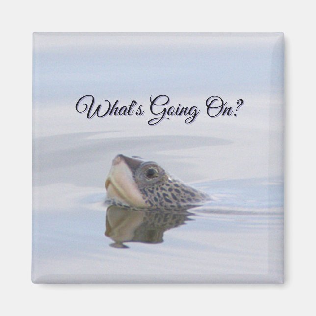 Diamondback Terrapin Turtle Face Magnet (Vorne)