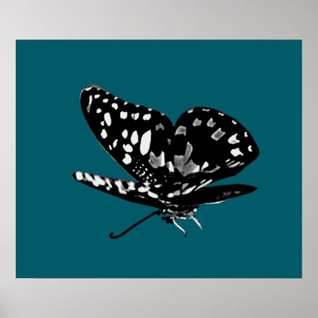 Diamoned Wings Poster (Vorne)
