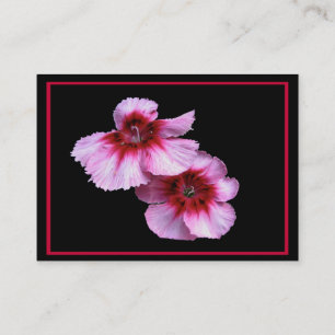 Dianthus blüht ATC Visitenkarte