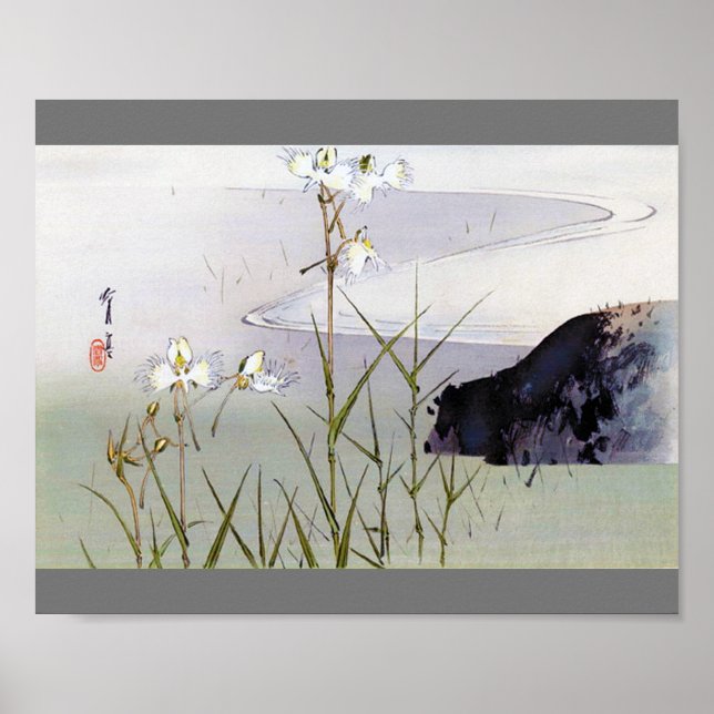 Dianthus in Riverside, Watanabe Seitei Poster (Vorne)