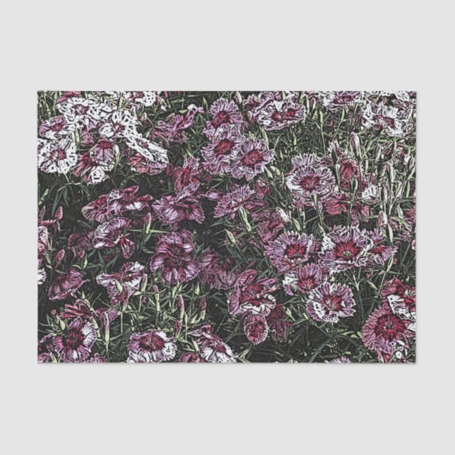 DIANTHUS SEIDENPAPIER (Vorderseite)