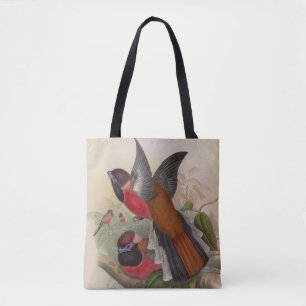 Diards Trogon von John Gould