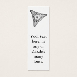 Diatom