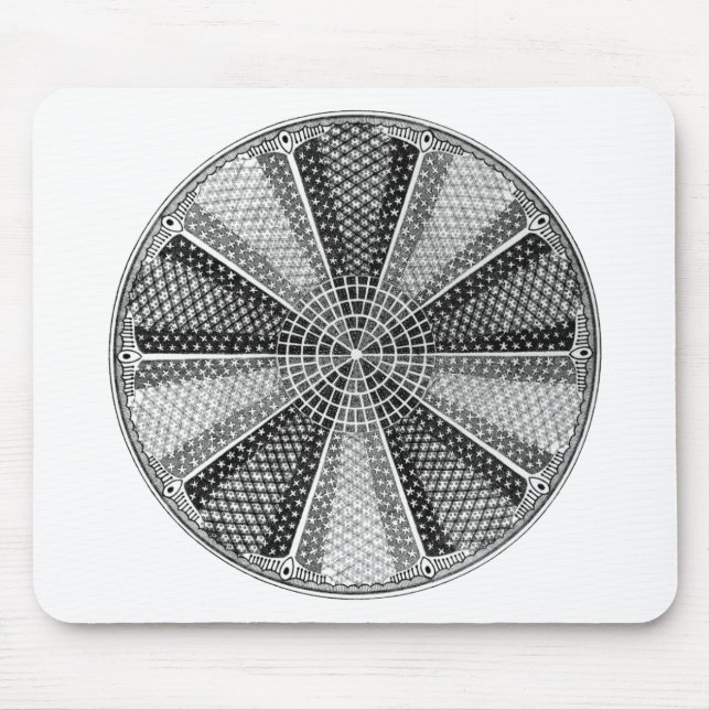 Diatom 13 Ernst Haeckel Fine Art Mousepad (Vorne)