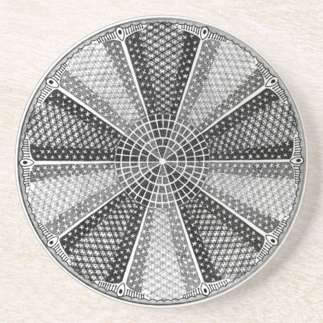 Diatom 13 Ernst Haeckel Fine Art Sandstein Untersetzer (Vorne)