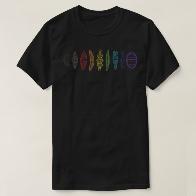 Diatom Morphology lineup stolz Regenbogen T-Shirt (Design vorne)