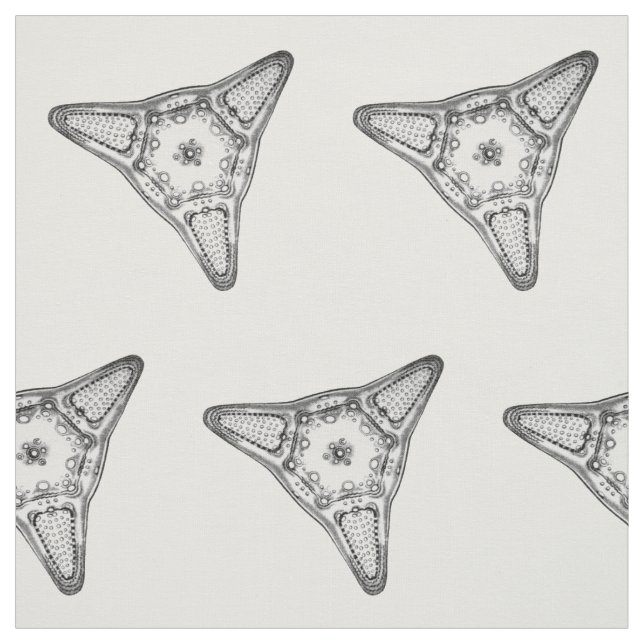 Diatomee Stoff (Muster)