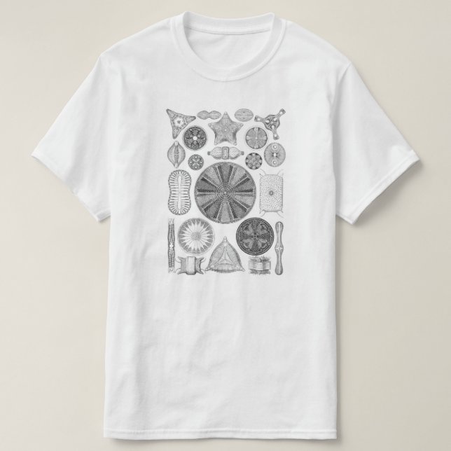 Diatomeen T-Shirt (Design vorne)