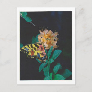 Dibble_Artworks_124_Butterfly Postkarte