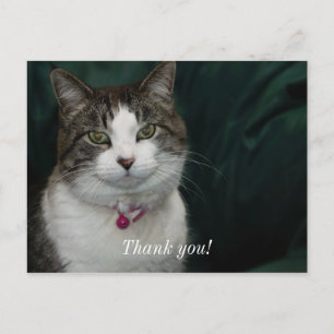 Dich ansehend, wie du mich ansiehst Danke Postkart Postkarte