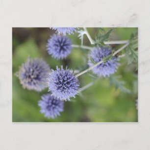 Dick - Stehend aus der Menge heraus Postkarte