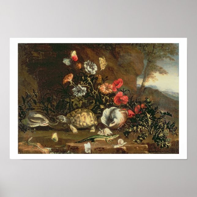 Dicken, Blume, Reptilien und Schmetterlinge nebene Poster (Vorne)