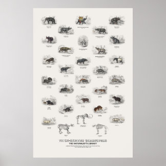 Dickhäutige Vierfüßler - Naturalist's Library Poster