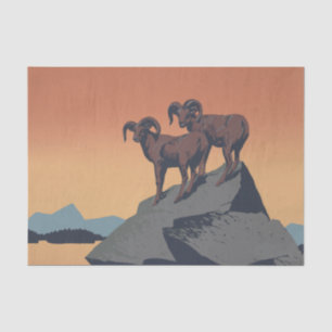 Dickhornschafe American West Wildlife Seidenpapier