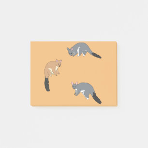Dickschwanzpossums Post-it Klebezettel