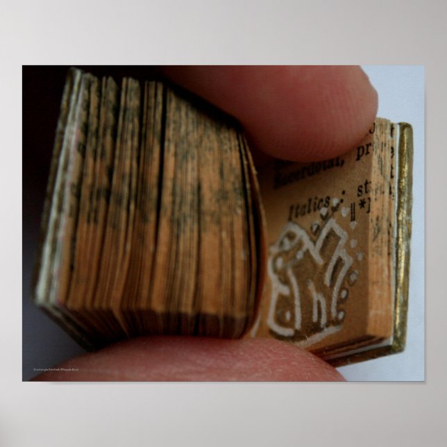 DicofrAngle Miniaturbuch ohne Titel Zeichnend Post Poster (Vorne)