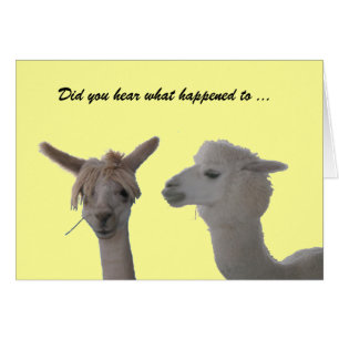 Did you hear ... Event