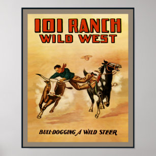 Die 101 Ranch Poster