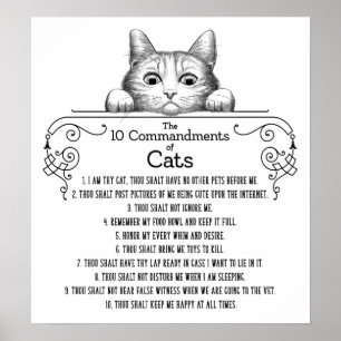 Die 10 Gebote von Cats Funny Poster