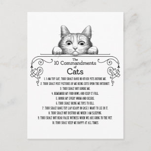 Die 10 Gebote von Cats Funny Postkarte