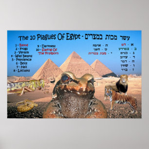 Die 10 Pest Ägyptens - Englisch und Hebräisch Poster