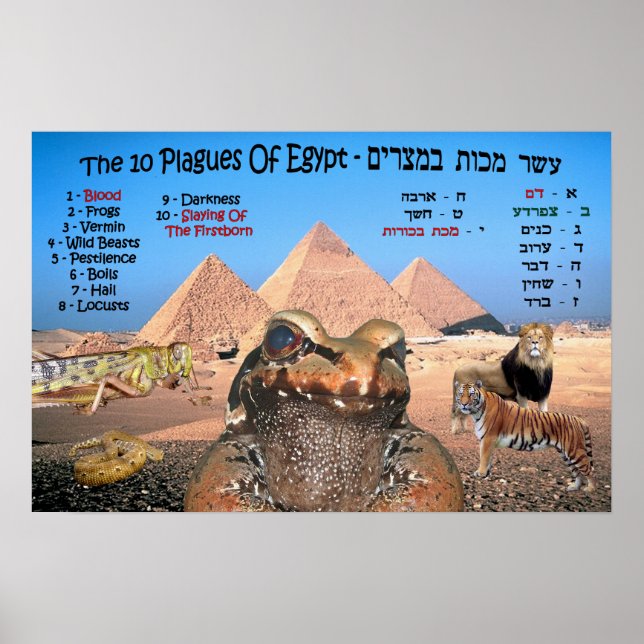 Die 10 Pest Ägyptens - Englisch und Hebräisch Poster (Vorne)