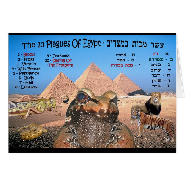 Die 10 Seuchen Ägyptens (Vorderseite (Horizontal))