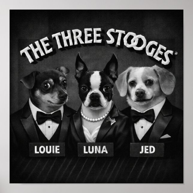 "Die 2 Dooges" Poster (Vorne)