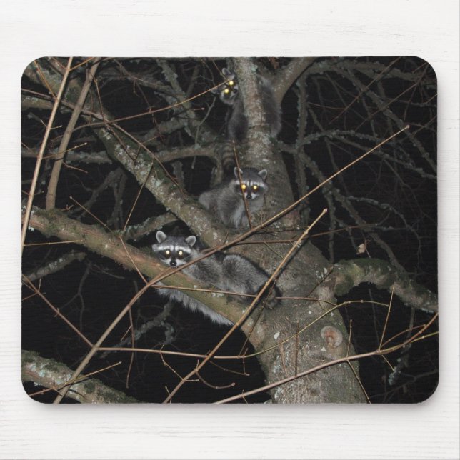 Die 3 Banditen Mousepad (Vorne)