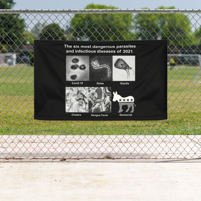 Die 6 gefährlichsten Parasiten & Infektionskrankhe Banner (Insitu)