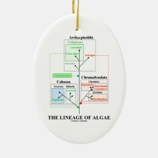 Die Abstammung der Algen-Evolutionsbiologie Keramikornament
