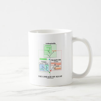 Die Abstammung der Algen Kaffeetasse