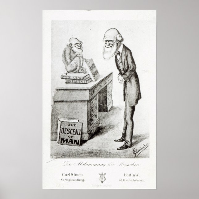 Die Abstammung des Menschen Poster (Vorne)