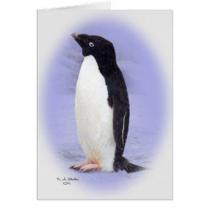 Die Ade'lie Pinguin-Karte