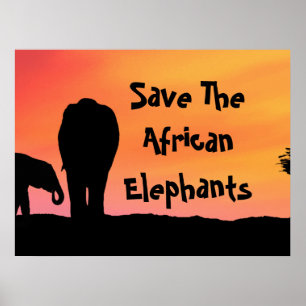 Die afrikanischen Elefanten gerettet Poster