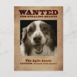 Die Agile Aussie Postkarte