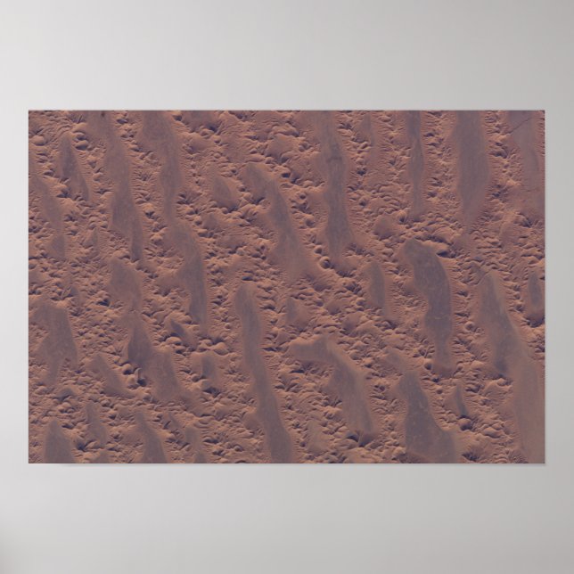 Die algerische Wüste Poster (Vorne)