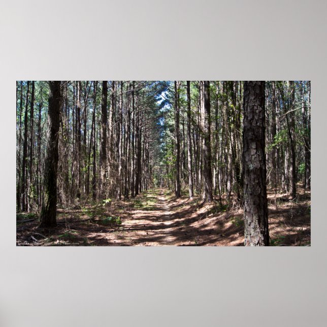 Die Alley durch das Pine Sentinels Poster (Vorne)