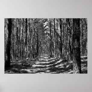 Die Alley durch die Pine Sentinels B&W Poster