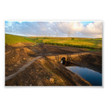 Die alte Brücke der Bäume