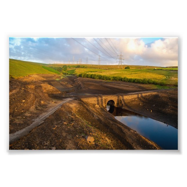 Die alte Brücke der Bäume Fotodruck (Vorne)