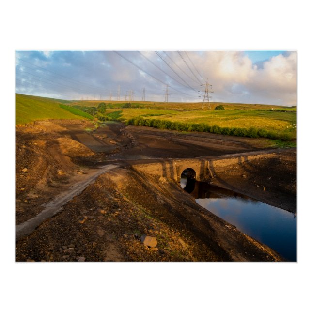 Die alte Brücke der Bäume Poster (Vorderseite)