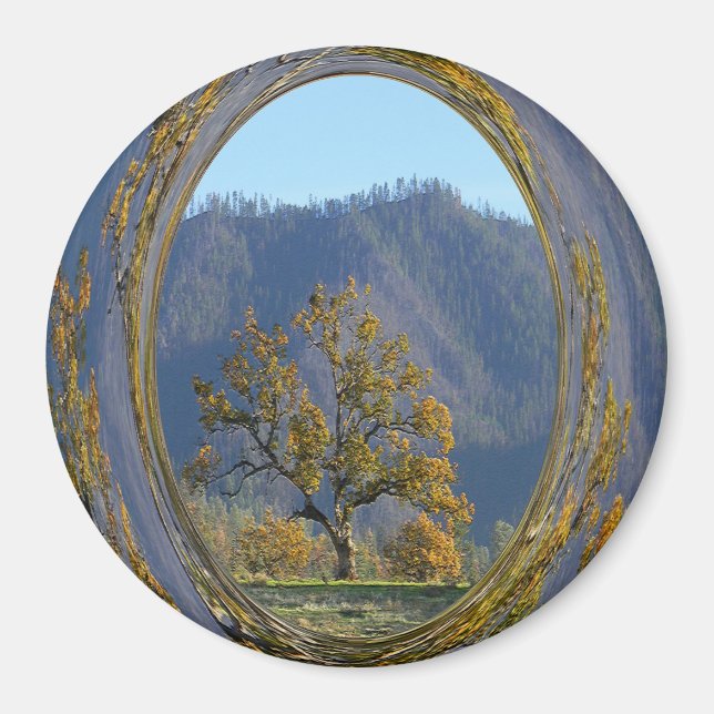 Die alte Eiche.... Magnet (Vorne)