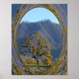 Die alte Eiche...... Poster